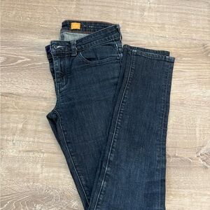 Anthropologie Blue Skinny Jeans with Classic Fit